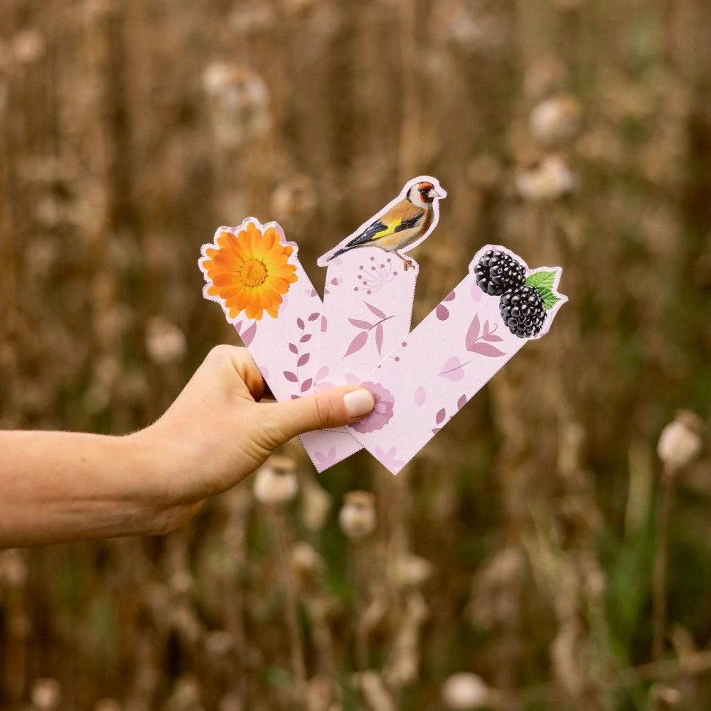 LEROS Dárková kazeta Voňavá Louka 6x5 ks - celkem 30 kusů - výběr bylinný čajů